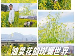-光明小镇欢乐田园