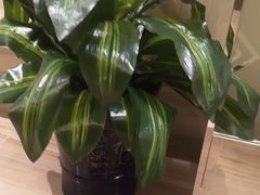 -湖锦酒楼·30年经典湖北菜(沌口店)