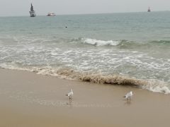 -海云台海滩