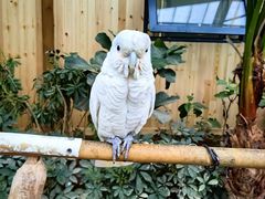 -南宫五洲植物乐园