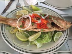 -Versailles Restaurant Cuban Cuisine