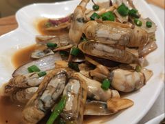 -华盛丰温州大排档(东三环南路店)