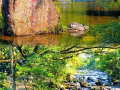 -广州市石门国家森林公园