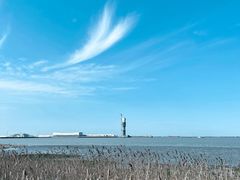 -上海吴淞炮台湾国家湿地公园