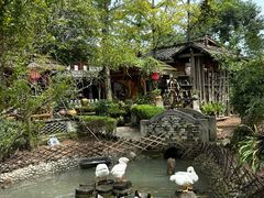 -青城甲(青城山店)