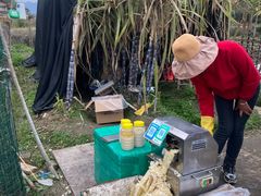 -福建土楼（南靖）云水谣景区-和贵楼