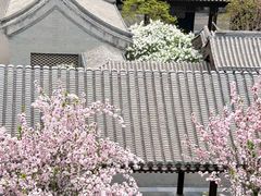 -北京奥林匹克公园