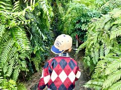 -国家植物园南园