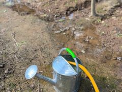 -东钱湖旅游度假区