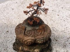 -北京国子监胡同