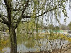 -北京西山国家森林公园