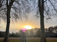 -河南省黄河迎宾馆