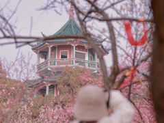 -无锡梅园公园