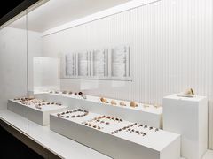 -青岛贝壳博物馆