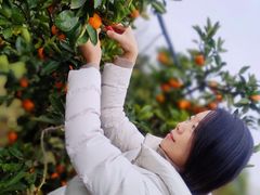 -前小桔亲子创意农场·草莓采摘·露营烧烤