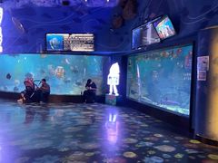 -烟台海昌鲸鲨海洋公园