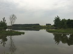 -东郊湿地公园