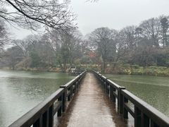 -井之头恩赐公园