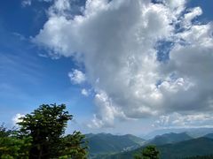 -武陵山森林公园