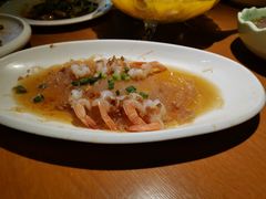 -前海沿·青岛菜(大拇指广场石老人店)