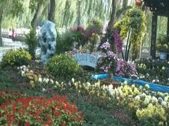 android_upload_pic-迎泽公园