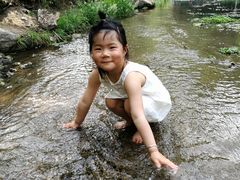 -白水寺森林公园