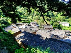 -杨家堂村