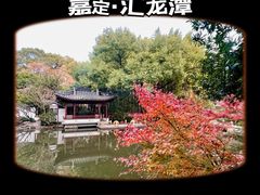 -汇龙潭