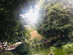 -九龙公园