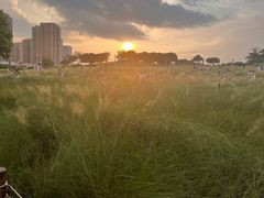 -红花山公园