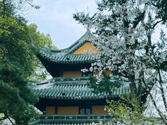 -龙华寺