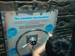 -悉尼海洋生物水族馆