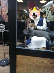 -青木造型HAIR·あおき髪を刈る潮人店