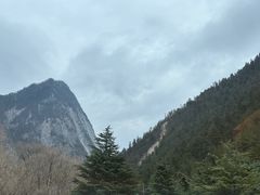 -九寨沟-树正沟