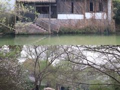 -西溪国家湿地公园