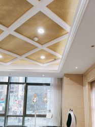 -碧莲盛·不剃发植发