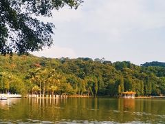 -西樵山风景名胜区-天湖公园