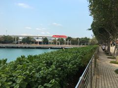 -新加坡海鲜共和(名胜世界圣淘沙海滨坊)