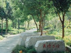 -燕晗山郊野公园