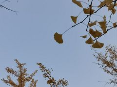 -北京奥林匹克公园