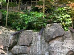 -宁海森林温泉