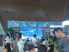 -抱抱地球咖啡馆(国家海洋博物馆店)