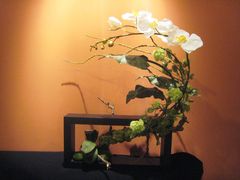 -荷兰布尔玛国际花艺学院