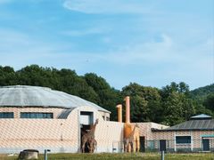 -哈尔滨北方森林动物园