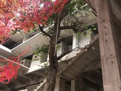 -广州市紫泥堂文化创意园景区