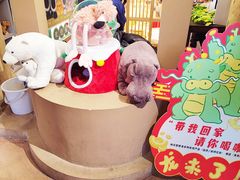 -ZOO COFFEE动物园咖啡(红山森林动物园店)