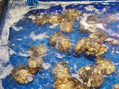 -万宝海鲜舫(劳动公园店)