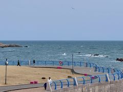 -甄御•海鲜新青岛菜(麦岛店)