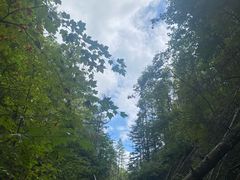 -峡谷浮石林景区