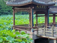 -龙头寺公园